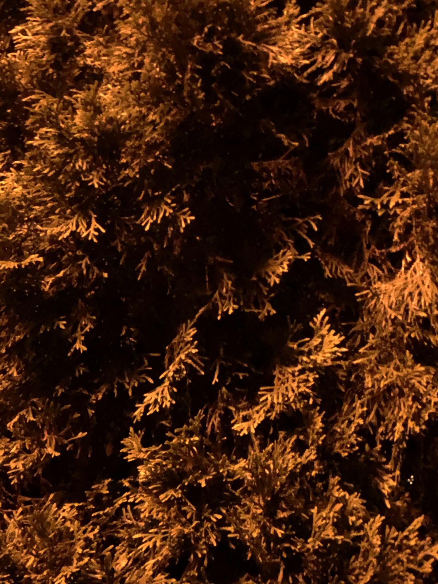 Objects 1 10