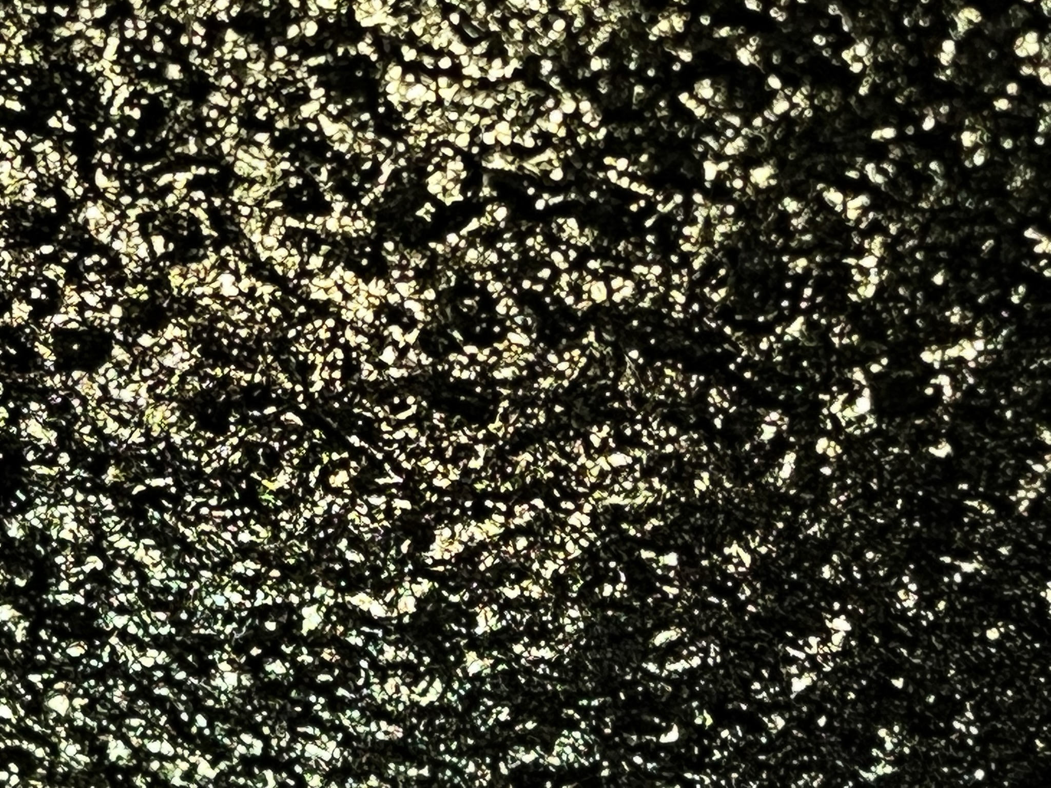 Objects 2 7