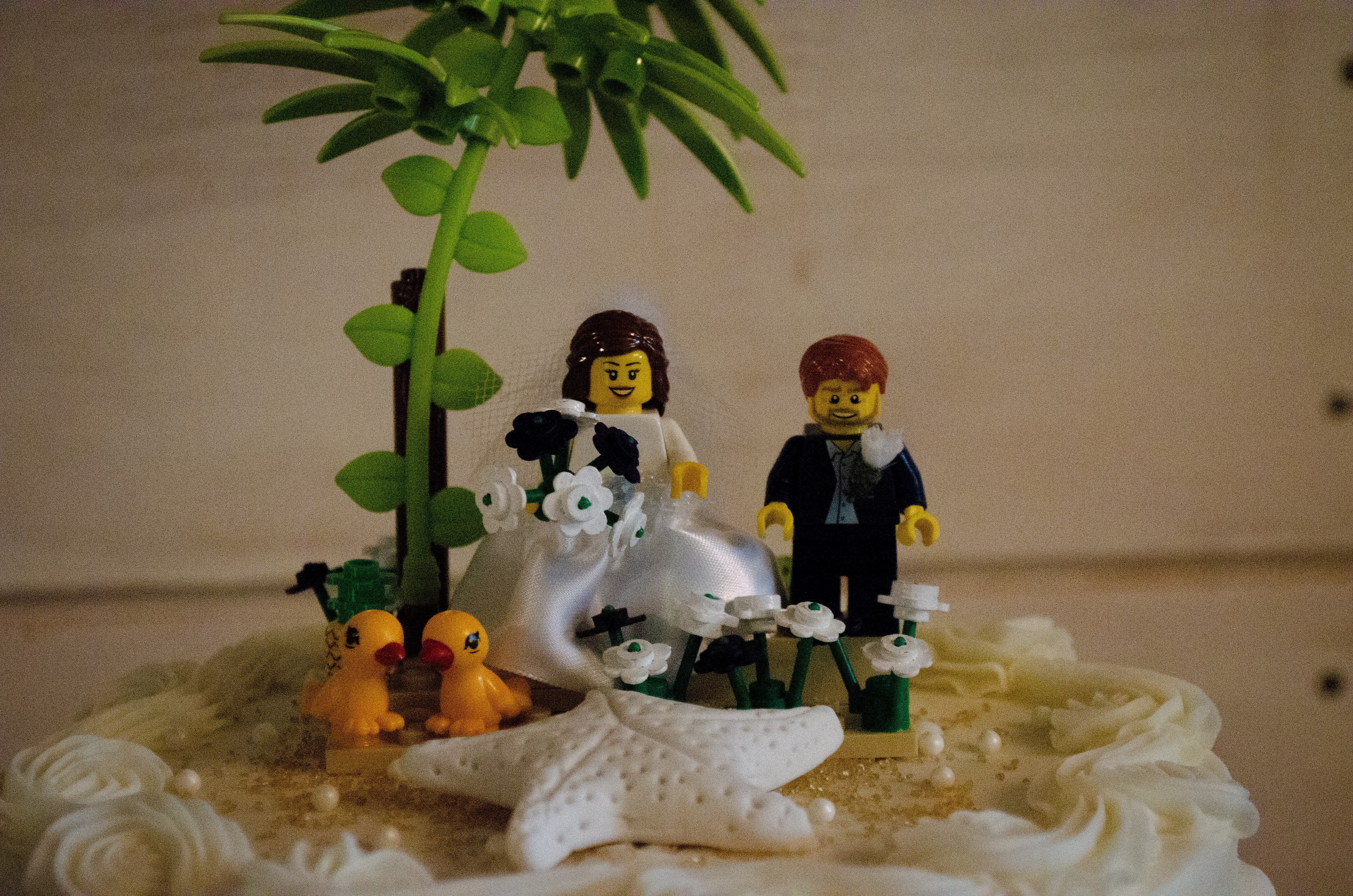 Wedding 6